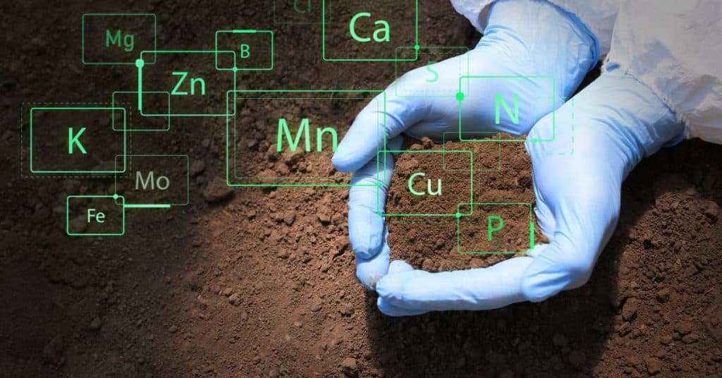 Soil Remediation & Testing in Sunderland